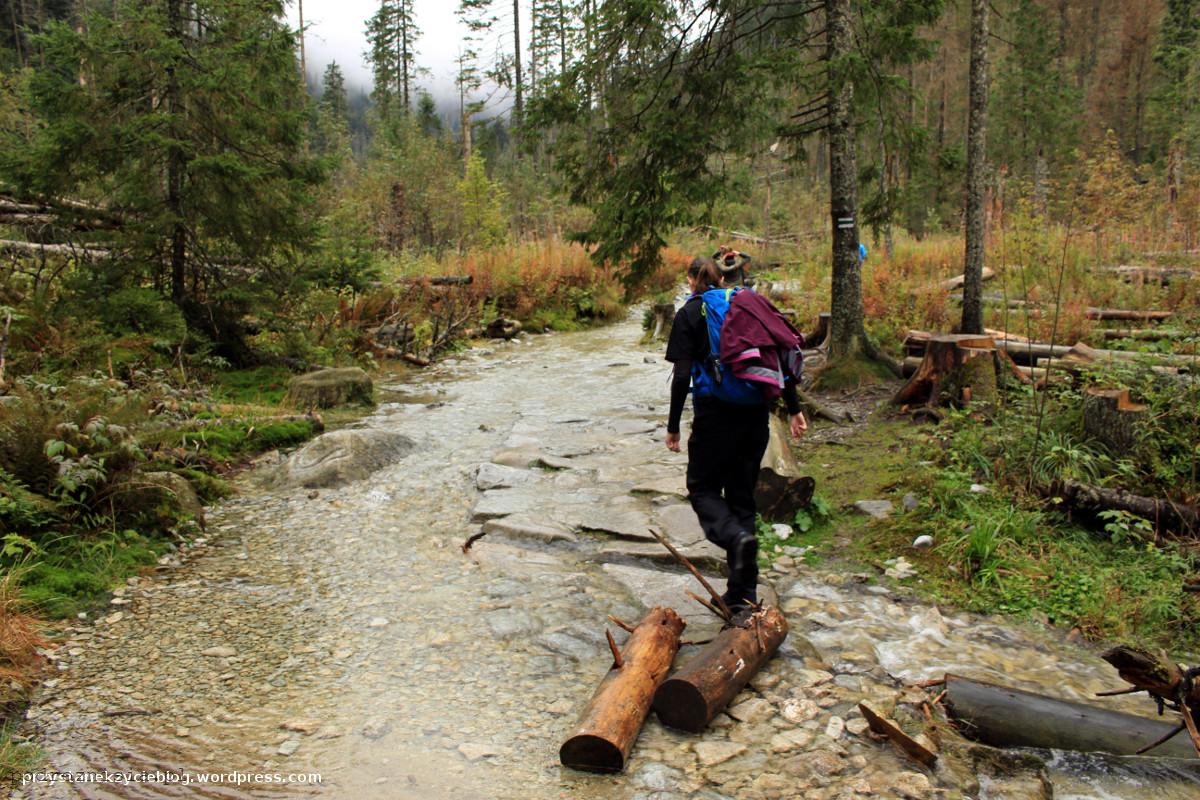 dolina_pieciu_stawow_tatry6