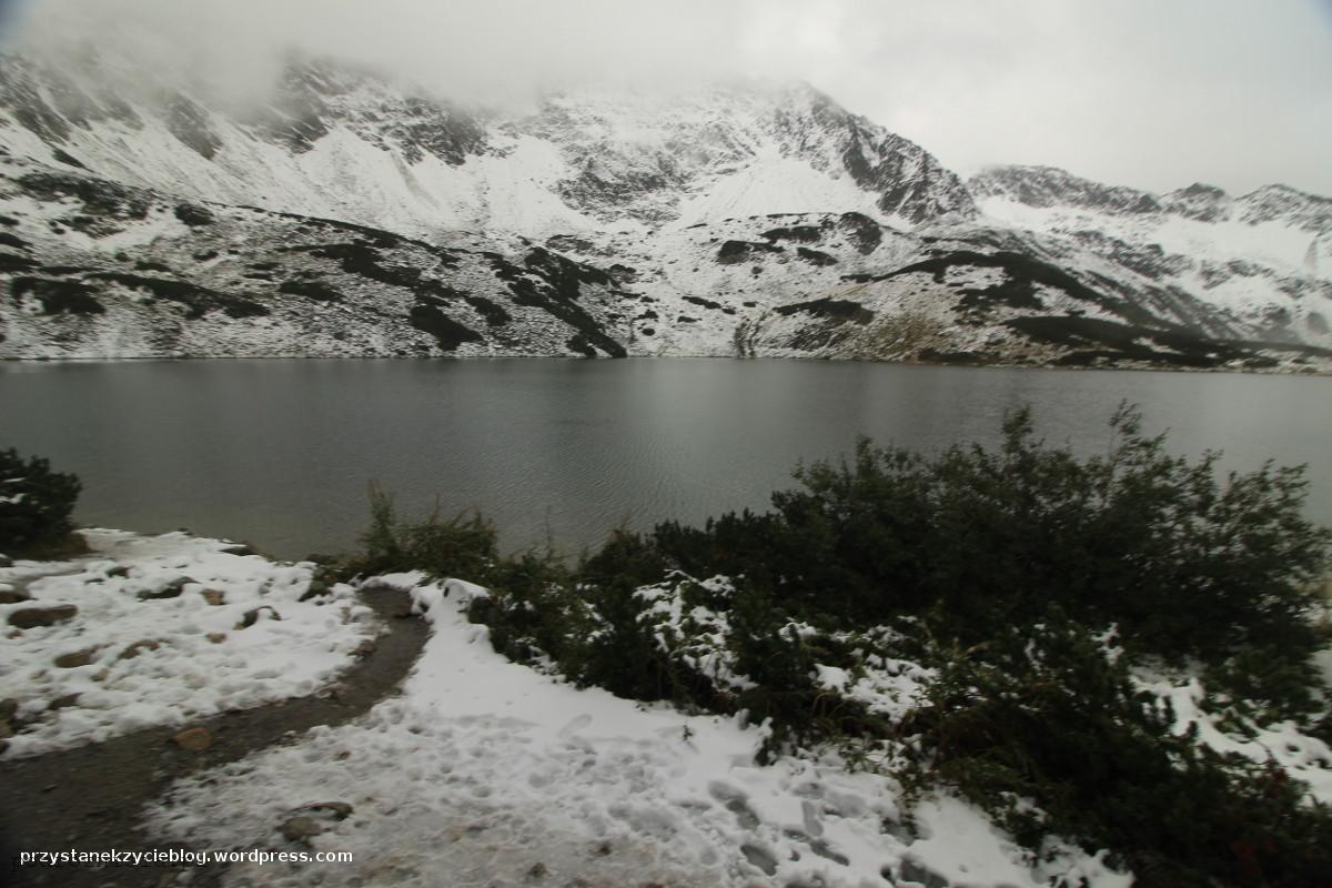 dolina_pieciu_stawow_tatry8