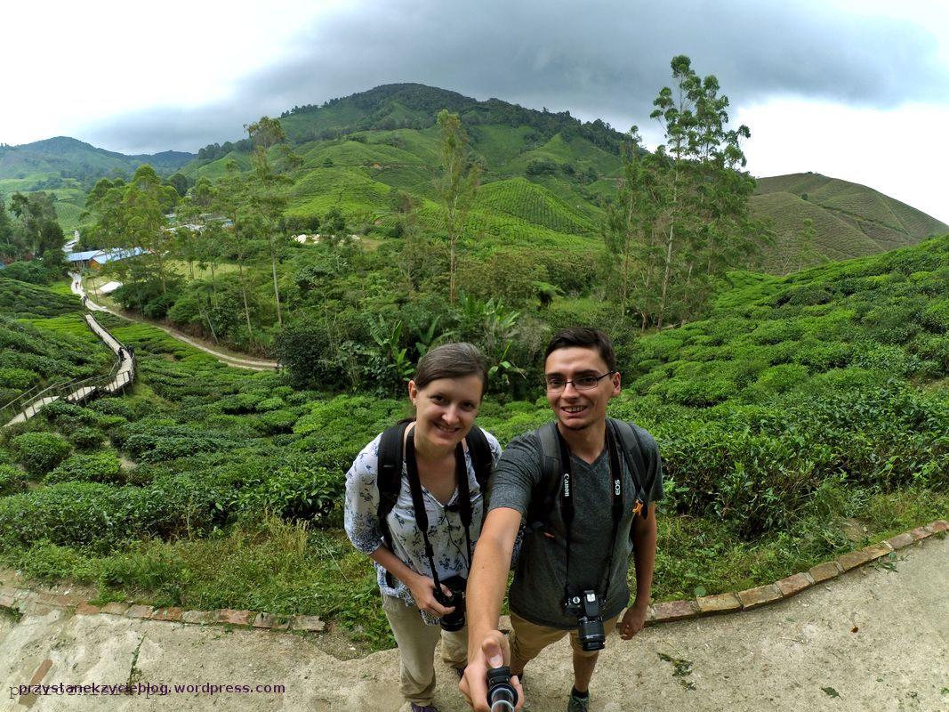 plantacja herbaty boh_cameron highlands_malezja_nisia