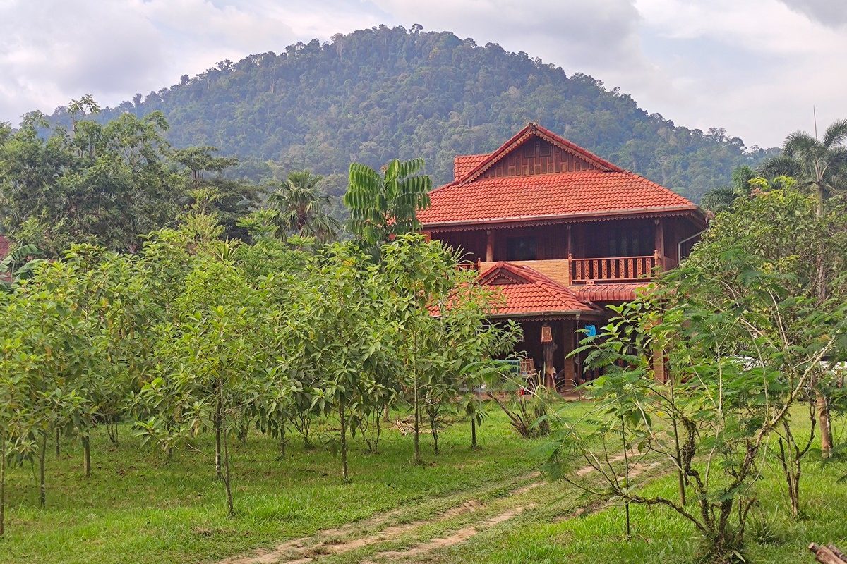 Khao Sok